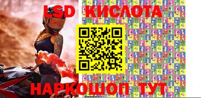 шишки Можга