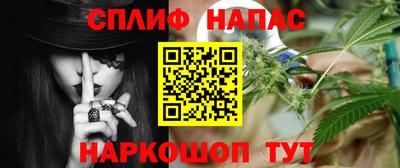 шишки Можга