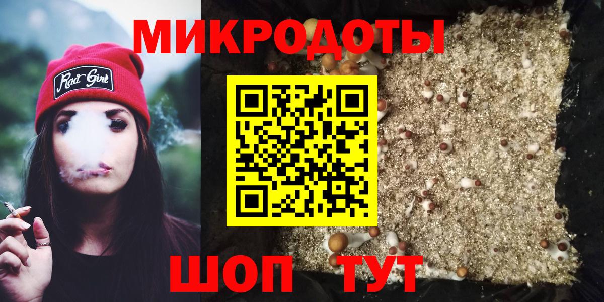 Псилоцибиновые грибы мицелий Чусовой