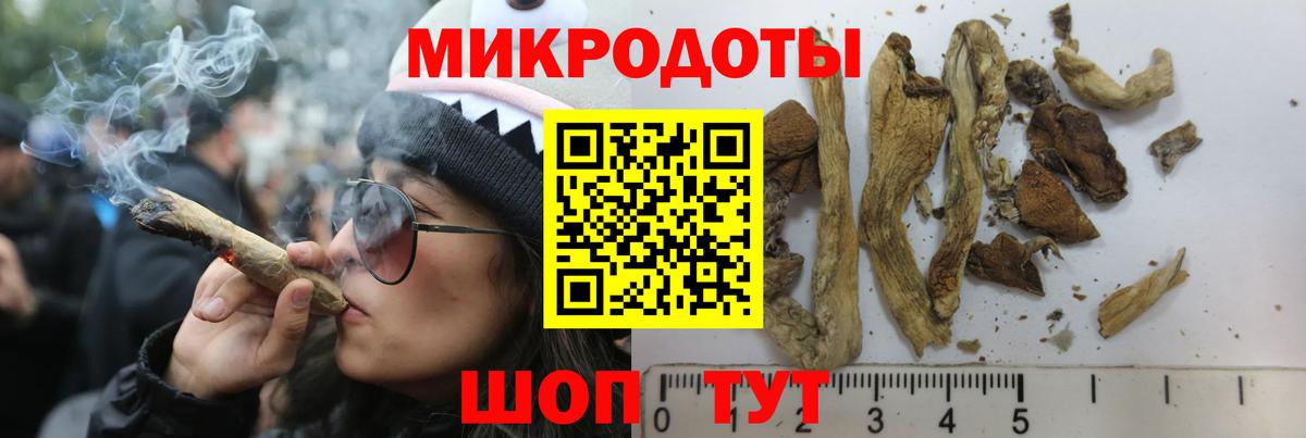 Чусовой  Галлюциногенные грибы MAGIC MUSHROOMS  Вход с VPN 